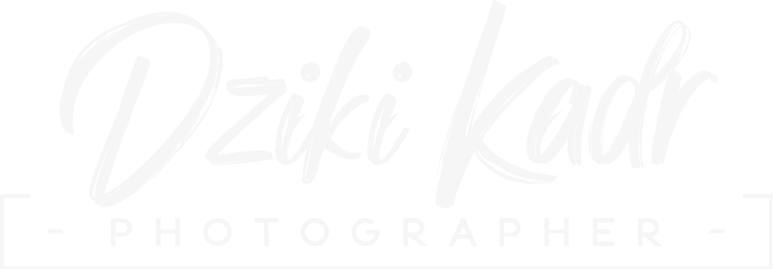 dzikikadr.com.pl logo
